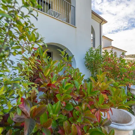 Apartment Brorent-la Maison Doree *